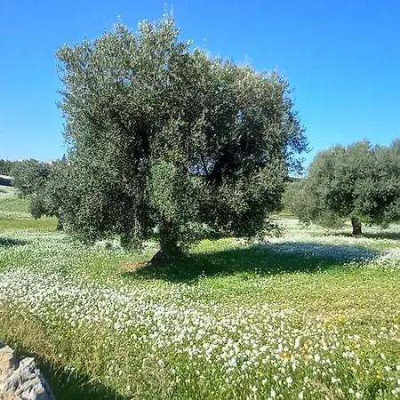 Casa Coleo * Monopoli